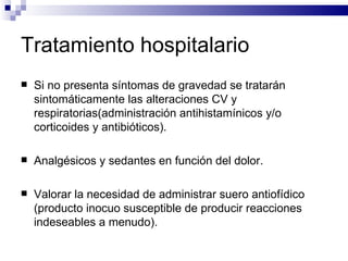 Tratamiento hospitalario Si no presenta síntomas de gravedad se tratarán sintomáticamente las alteraciones CV y respiratorias(administración antihistamínicos y/o corticoides y antibióticos). Analgésicos y sedantes en función del dolor. Valorar la necesidad de administrar suero antiofídico (producto inocuo susceptible de producir reacciones indeseables a menudo). 