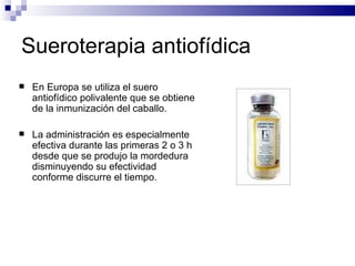 Sueroterapia antiofídica En Europa se utiliza el suero antiofídico polivalente que se obtiene de la inmunización del caballo. La administración es especialmente efectiva durante las primeras 2 o 3 h desde que se produjo la mordedura disminuyendo su efectividad conforme discurre el tiempo. 