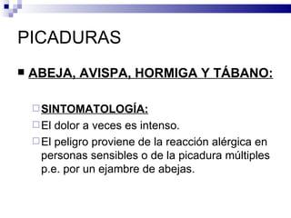 PICADURAS ABEJA, AVISPA, HORMIGA Y TÁBANO: SINTOMATOLOGÍA: El dolor a veces es intenso. El peligro proviene de la reacción alérgica en personas sensibles o de la picadura múltiples p.e. por un ejambre de abejas. 