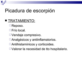 Picadura de escorpión TRATAMIENTO: Reposo. Frío local. Vendaje compresivo. Analgésicos y antiinflamatorios. Antihistamínicos y corticoides. Valorar la necesidad de tto hospitalario. 