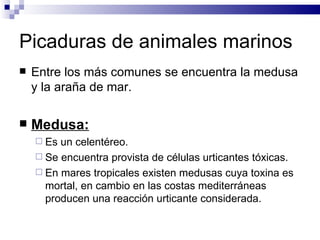 Picaduras de animales marinos Entre los más comunes se encuentra la medusa y la araña de mar. Medusa: Es un celentéreo. Se encuentra provista de células urticantes tóxicas. En mares tropicales existen medusas cuya toxina es mortal, en cambio en las costas mediterráneas producen una reacción urticante considerada. 