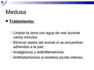 Medusa  Tratamiento: Limpiar la zona con agua de mar durante varios minutos. Eliminar restos del animal si se encuentran adheridos a la piel. Analgésicos y antiinflamatorios. Antihistamínicos si existiera prurito intenso. 