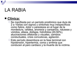 LA RABIA Clínica: Se manifiesta por un período prodómico que dura de 2 a 10días con signos y síntomas muy inespecíficos como fiebre, dolor o parestesia en el lugar de la mordedura, cefalea, anorexia y cansancio, náuseas y vómitos, afasia, disfagia, hidrofobia (20-50%), alucinaciones olfatorias y visuales, cambios conductuales, crisis convulsivas, agitación. Este período desemboca en la fase terminal con hipotensión, hipertermia, coma y arritmia que conducen al paro cardiaco y la muerte de la víctima. 