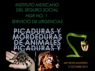 PICADURAS Y
MORDEDURAS
DE ANIMALES
PICADURAS Y
MORDEDURAS
DE ANIMALES MIP REYES MONTERO
17 OCTUBRE 2014
INSTITUTO MEXICANO
DEL SEGURO SOCIAL
HGR NO. 1
SERVICIO DE URGENCIAS
 