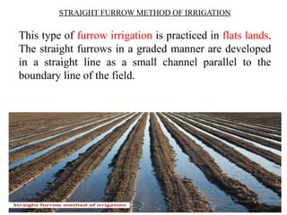 Mordern concepts in water and weed management in vegetable crops.pptx