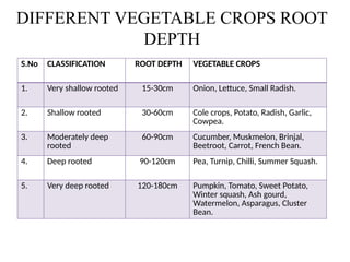 Mordern concepts in water and weed management in vegetable crops.pptx