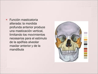 Función masticatoria alterada: la mordida profunda anterior produce una masticación vertical, limitando los movimientos necesarios para el estimulo de la apófisis alveolar maxilar anterior y de la mandíbula 