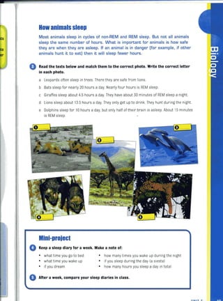 How animals sleep
~t5 Most animals sleep in cycles of non-REM and REM sleep. But not all animals
I sleep the same number of hours. What is important for animals is how safe
I e they are when they are asleep, If an animal is in danger (for example, if other
animals hunt it to eat) then it will sleep fewer hours.
o Read the texts below and match them to the correct photo. Write the correct letter
in each photo.
a leopards often sleep in trees. There they are safe from lions.
b Bats sleep for nearly 20 hours a day. Nearly four hours is REM sleep.
c Giraffes sleep about 4.5 hours a day. They have about 30 minutes of REM sleep a night
d l ions sleep about 13.5 hours a day.They only get up to drink. They hunt duringthe night
e Dolphins sleep for 10 hours a day. but only half of their brain is asleep. About 15 minutes
is REM sleep
Mini-project
o Keep a sleep diary for a week. Make a note of:
• what time you go to bed • how many times you wake up during the night
• what time you wake up • if you sleep during the day (a siesta)
• if you dream • how many hours you sleep a day in total
o After a week, compare your sleep diaries in class.
, ,
 