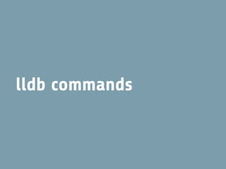 lldb commands
 
