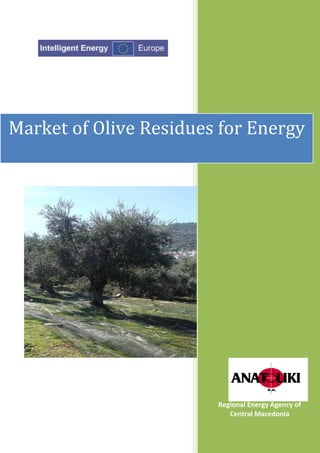 Market of Olive Residues for Energy




                        Regional Energy Agency of
                           Central Macedonia


                                          1
 