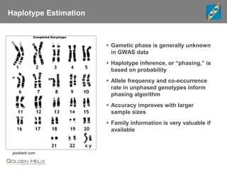 Haplotype Estimation
 Gametic phase is generally unknown
in GWAS data
 Haplotype inference, or “phasing,” is
based on probability
 Allele frequency and co-occurrence
rate in unphased genotypes inform
phasing algorithm
 Accuracy improves with larger
sample sizes
 Family information is very valuable if
available
pixshark.com
 