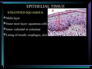 Histology of Tissues and Types of Tissues.ppt