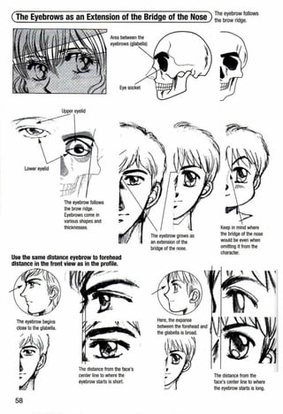 (The Eyebrows as an Extension of the Bridge of the Nose) The eyebr~w follows
the brow ndge.
eyebrows
Upper eyelid
~~ --~---·=~=~:-.-... / ,
· ~-
~ ···
~~>. '", .,,L
.. .~- . ~
Lower eyelid
The eyebrow follows
the brow ridge.
Eyebrows come in
various shapes and
thicknesses.
Usa the same distance eyebrow to forehead
distance in the front view as in the profile.
The eyebrow begins
close to the glabella.
58
The distance from the face's
center line to where the
eyebrow starts is short.
- ~
--....~
'
bridge of the nose.
Here, the expanse
between the forehead and
the glabella is broad.
Keep in mind where
the bridge of the nose
would be even when
omitting it from the
character.
The distance from the
face's center line to where
the eyebrow starts is long.
 