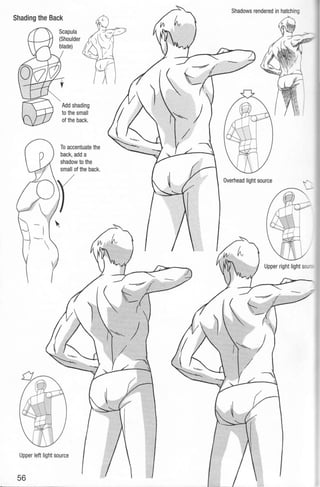 Shading the Back
Scapula
(Shoulder
blade)
Add shading
to the small
of the back.
Upper left light source
56
 