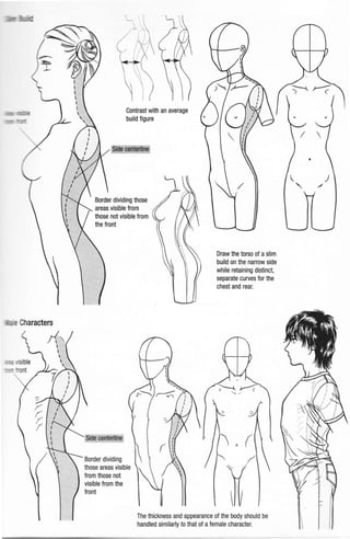 ~ aCharacters
Contrast with an average
build figure
Border dividing those
areas visible from
those not visible from
the front
Border dividing
those areas visible
from those not
visible from the
c
Draw the torso of aslim
build on the narrow side
while retaining distinct,
separate curves for the
chest and rear.
The thickness and appearance of the body should be
handled similarly to that of afemale character.
)
/
 