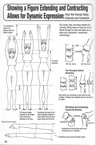 Showing aFigure Extending and Contracting
Allows for Dynamic Expression: ~~~n~::~dm~~n!~~is
This distance is --1--------------------------------------------------equal to or
greater than the
head's length.
-----------------
The arms also stretch.
The figures height
expands by the length
of the feet when
standing on toe tips.
'
'.....
'
+'
The torso
stretched
Stretching the body to the
extent possible lengthens
even further the torso and
upper body and the arms.
''
''''
''
'
' '' ' '
Our hands, legs, and torso extend and
contract. Being aware of how far a li :::
bends forward or back will allow you
draw your characters' movements
convincingly.
Ref. Fig.: Spine Ref. Fig. Knee
The Principles behind
Stretching
Hard bones are connected to each other by soft
cartilage. Cartilage has elasticity that can be likene:
to rubber.
Stretching and Contracting
Caused by Bending
' ' '
~......:___:.;:ri=-----------f't------l-..::___Strn~hingoccu" at the shoulder Oolnt).
80
 