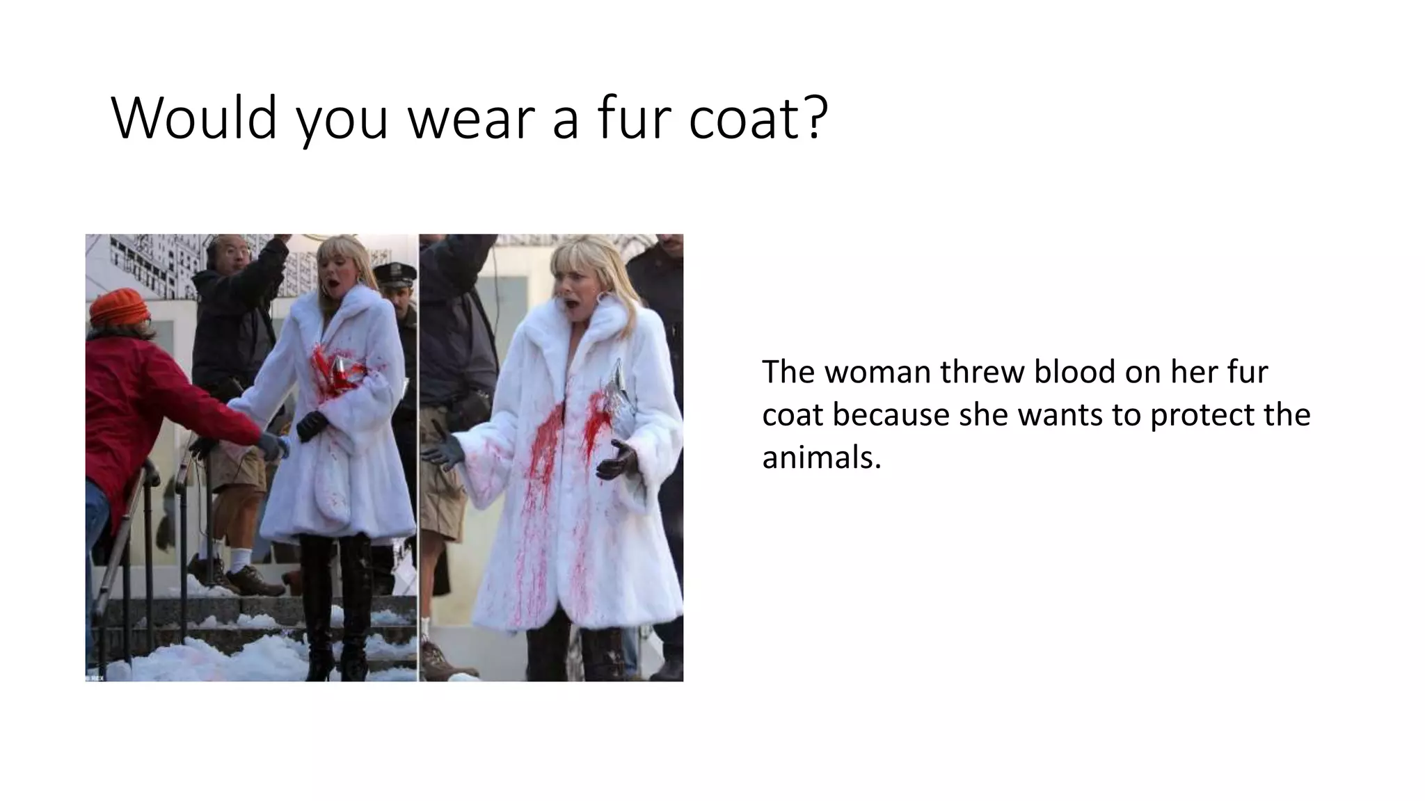 Would you wear a fur coat?
The woman threw blood on her fur
coat because she wants to protect the
animals.
 