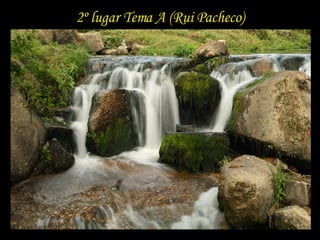 2º lugar Tema A (Rui Pacheco) 