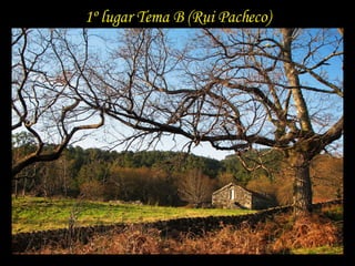 1º lugar Tema B (Rui Pacheco) 