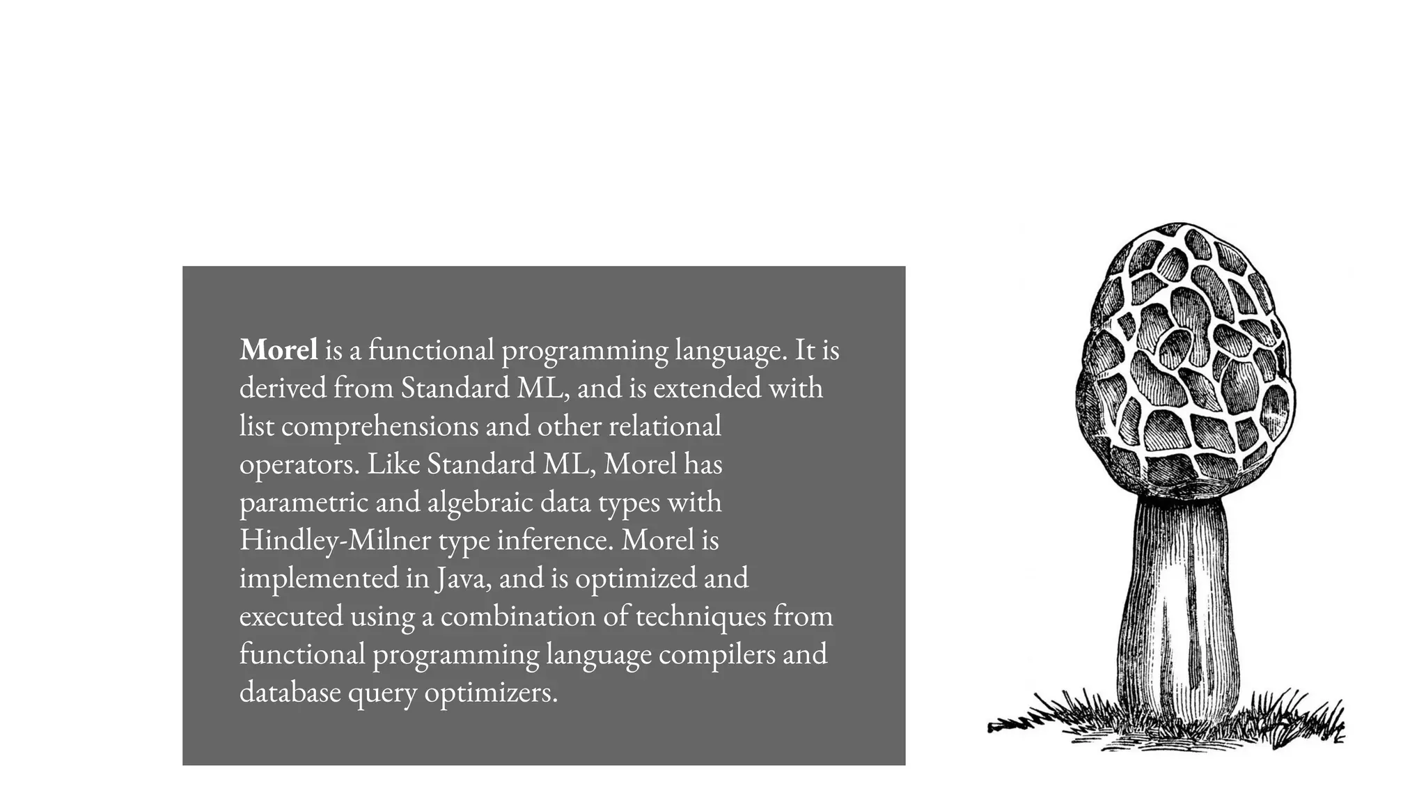 Morel is a functional programming language. It is
derived from Standard ML, and is extended with
list comprehensions and other relational
operators. Like Standard ML, Morel has
parametric and algebraic data types with
Hindley-Milner type inference. Morel is
implemented in Java, and is optimized and
executed using a combination of techniques from
functional programming language compilers and
database query optimizers.
 