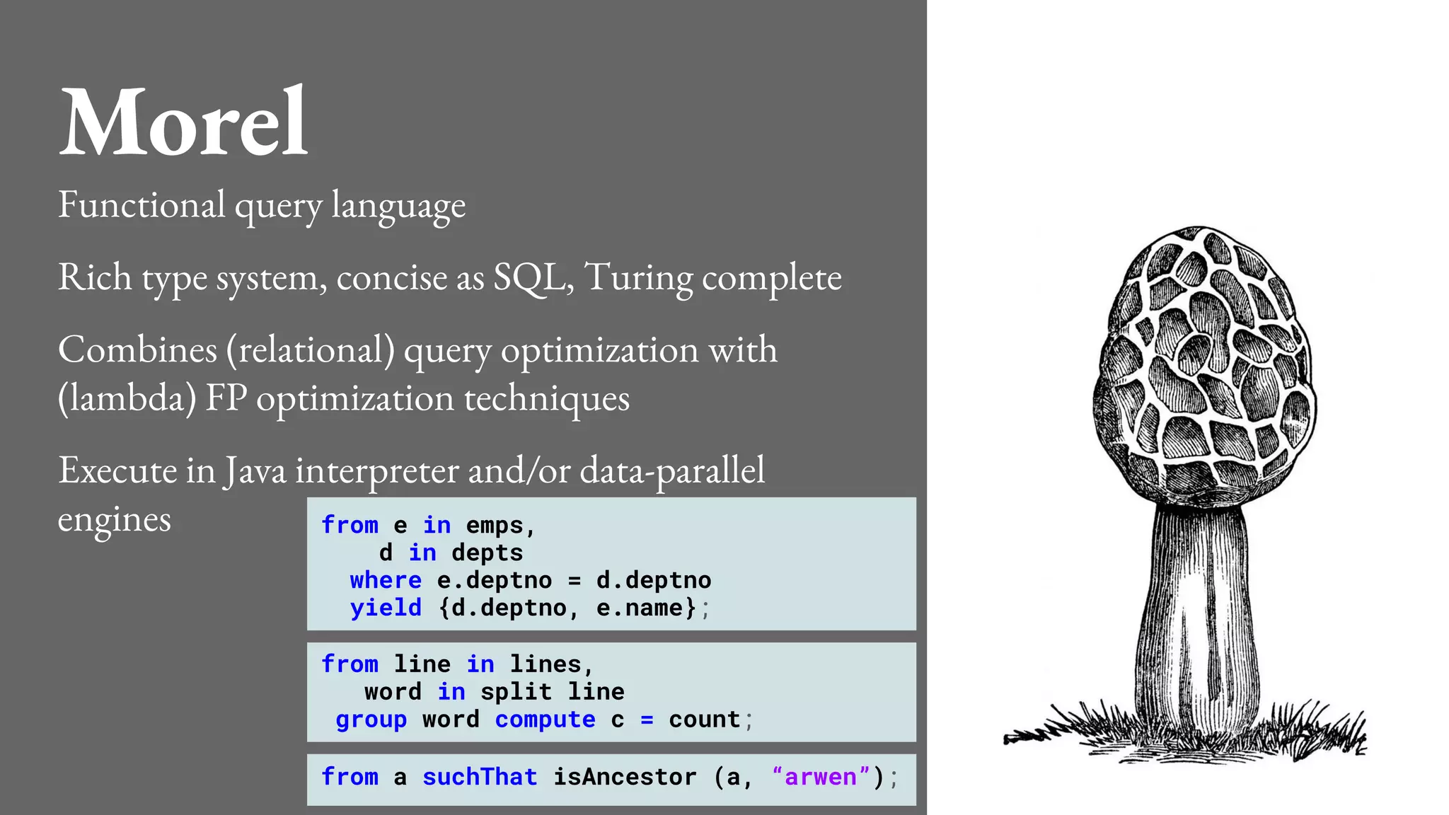 Morel
Functional query language
Rich type system, concise as SQL, Turing complete
Combines (relational) query optimization with
(lambda) FP optimization techniques
Execute in Java interpreter and/or data-parallel
engines from e in emps,
d in depts
where e.deptno = d.deptno
yield {d.deptno, e.name};
from line in lines,
word in split line
group word compute c = count;
from a suchThat isAncestor (a, “arwen”);
 