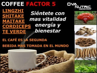 LINGZHI
SHITAKE
MAITAKE
CORDICEPS
TE VERDE
EL CAFÉ ES LA SEGUNDA
BEBIDA MAS TOMADA EN EL MUNDO
COFFEE FACTOR 5
Siéntete con
mas vitalidad
energía y
bienestar
 