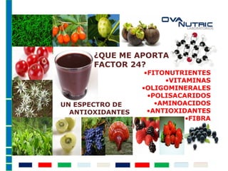 FACTOR
¿QUE ME APORTA
FACTOR 24?
•FITONUTRIENTES
•VITAMINAS
•OLIGOMINERALES
•POLISACARIDOS
•AMINOACIDOS
•ANTIOXIDANTES
•FIBRA
UN ESPECTRO DE
ANTIOXIDANTES
 