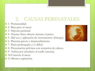 2. CAUSAS PERINATALES
 1- Prematuridad.
 2- Bajo peso al nacer.
 3- Hipoxia perinatal.
 4- Trauma físico directo durante el parto.
 5- Mal uso y aplicación de instrumentos (fórceps).
 6- Placenta previa o desprendimiento.
 7- Parto prolongado y/o difícil.
 8- Presentación pelviana con retención de cabeza.
 9- Asfixia por circulares al cuello (anoxia).
 10-Cianosis al nacer.
 11-Bronco aspiración.
 