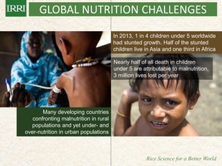 IRRI-AFRICARICE-CIAT MEETINGS