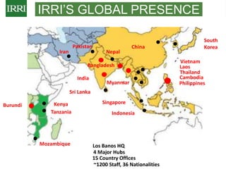 IRRI-AFRICARICE-CIAT MEETINGS