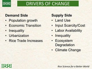 IRRI-AFRICARICE-CIAT MEETINGS