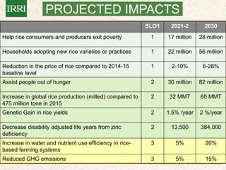 IRRI-AFRICARICE-CIAT MEETINGS