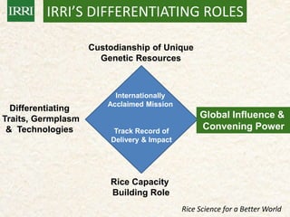 IRRI-AFRICARICE-CIAT MEETINGS