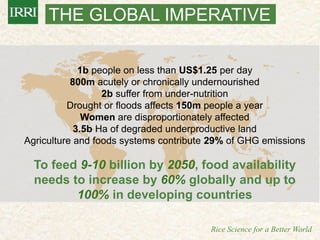 IRRI-AFRICARICE-CIAT MEETINGS