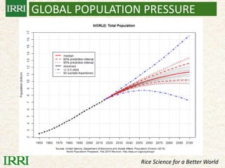 IRRI-AFRICARICE-CIAT MEETINGS
