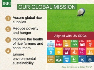 IRRI-AFRICARICE-CIAT MEETINGS