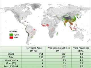 IRRI-AFRICARICE-CIAT MEETINGS