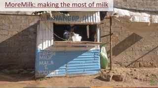 Milk safety and child nutrition: Impacts of the MoreMilk project’s training scheme for informal dairy vendors