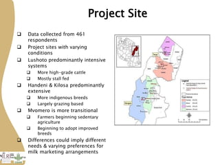 More milk in Tanzania: Participation in Dairy Market Hub