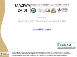 More milk in Tanzania: Participation in Dairy Market Hub
