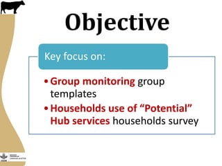 More milk in Tanzania: Participation in Dairy Market Hub