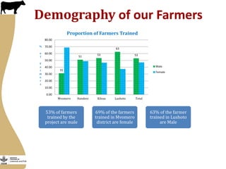 More milk in Tanzania: Participation in Dairy Market Hub
