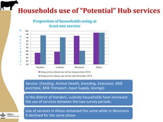 More milk in Tanzania: Participation in Dairy Market Hub