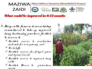 Heifer International Tanzania—Implementation progress and project highlights