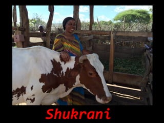 Heifer International Tanzania—Implementation progress and project highlights