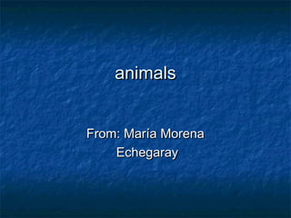 animalsanimals
From: María MorenaFrom: María Morena
EchegarayEchegaray
 
