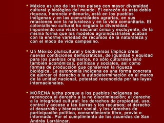  México es uno de los tres países con mayor diversidadMéxico es uno de los tres países con mayor diversidad
cultural y biológica del mundo. El corazón de esta doblecultural y biológica del mundo. El corazón de esta doble
riqueza, herencia milenaria, está en los pueblosriqueza, herencia milenaria, está en los pueblos
indígenas y en las comunidades agrarias, en susindígenas y en las comunidades agrarias, en sus
relaciones con la naturaleza y en la vida comunitaria. Elrelaciones con la naturaleza y en la vida comunitaria. El
colonialismo cultural ha negado la diversidad,colonialismo cultural ha negado la diversidad,
imponiendo una visión nacional única y excluyente, de laimponiendo una visión nacional única y excluyente, de la
misma forma que los modelos agroindustriales acabanmisma forma que los modelos agroindustriales acaban
con la enorme variedad de recursos de la naturaleza ycon la enorme variedad de recursos de la naturaleza y
con el modo de vida campesino.con el modo de vida campesino.
 Un México pluricultural y biodiversos implica crearUn México pluricultural y biodiversos implica crear
nuevas condiciones democráticas, de igualdad y equidadnuevas condiciones democráticas, de igualdad y equidad
para los pueblos originarios, no sólo culturales sinopara los pueblos originarios, no sólo culturales sino
también económicas, políticas y sociales, así comotambién económicas, políticas y sociales, así como
formas de producción que conserven la riquezaformas de producción que conserven la riqueza
biológica. La autonomía indígena es una forma concretabiológica. La autonomía indígena es una forma concreta
de ejercer el derecho a la autodeterminación en el marcode ejercer el derecho a la autodeterminación en el marco
de la unidad nacional, potestad reconocida por las leyesde la unidad nacional, potestad reconocida por las leyes
internacionales.internacionales.
 MORENA lucha porque a los pueblos indígenas seMORENA lucha porque a los pueblos indígenas se
reconozca el derecho a la no discriminación; el derechoreconozca el derecho a la no discriminación; el derecho
a la integridad cultural; los derechos de propiedad, uso,a la integridad cultural; los derechos de propiedad, uso,
control y acceso a las tierras y los recursos; el derechocontrol y acceso a las tierras y los recursos; el derecho
al desarrollo y bienestar social, y los derechos deal desarrollo y bienestar social, y los derechos de
participación política, consentimiento libre, previo eparticipación política, consentimiento libre, previo e
informado. Por el cumplimiento de los acuerdos de Saninformado. Por el cumplimiento de los acuerdos de San
Andrés Larráinzar.Andrés Larráinzar.
 