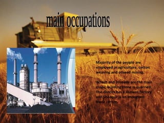 main occupations Majority of the people are employed in agriculture, cotton weaving and oilseed mining. Wheat and oilseeds are the main crops; building stone is quarried. The district has a cement factory and Sheopur is an important trade centre. 