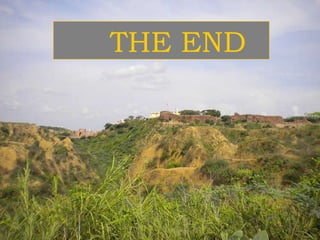 THE END 