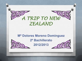 A TRIP TO NEW
ZEALAND
Mª Dolores Moreno Domínguez
2º Bachillerato
2012/2013
 